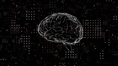 Brain animation over digital data and binary code on black background Stock Footage 306818218