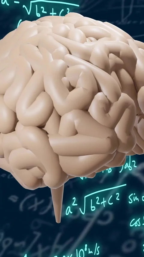 Brain animation over mathematical equations and formulas Stock Footage 342010615