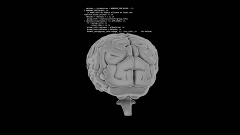 Brain animation with programming code over black background Stock Footage 306507400