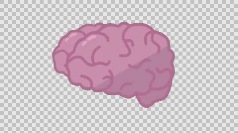 Brain Animation Visual Stock Footage 56724901