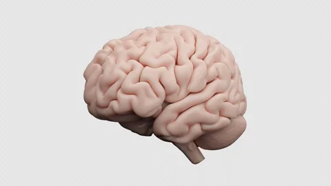 Brain Artificial Intelligence Green Screen Healthcare Mental Health Fog Dementia Video stock 247138894