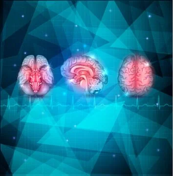 Brain background Stock Illustration