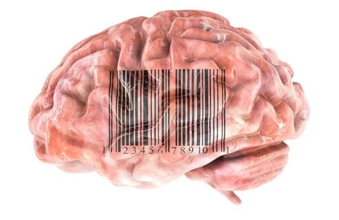 Brain with barcode, 3D rendering Illustrazione stock