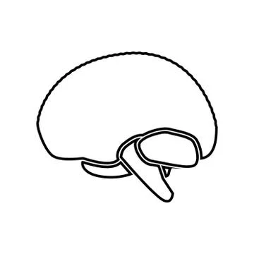 Brain black color icon . Stock Illustration