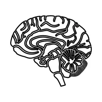 Brain black icon . Stock Illustration