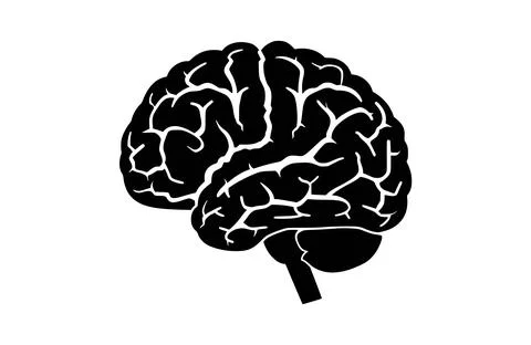 Brain black icon, isolated on white background. Vector illustration. Stock Illustration