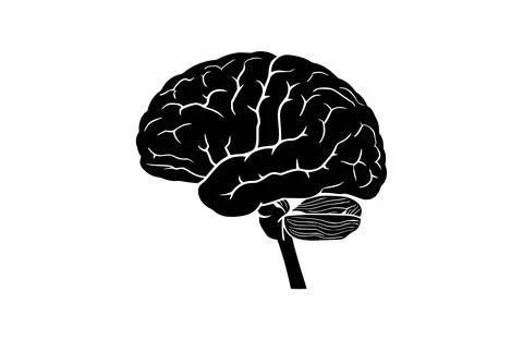 Brain black icon, isolated on white background. Vector illustration. Stock Illustration