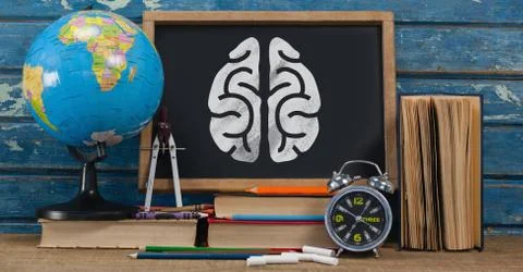 Brain on blackboard with study objects Stock Photos