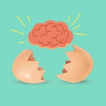 Brain Born from egg Stock Illustration