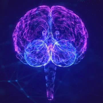 Brain. Brain with synapses and glowing neurons. Conceptual image of the birth of Stock Illustration