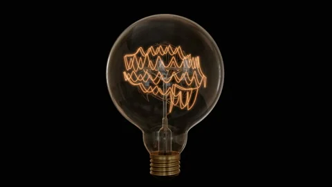 Brain Bulb, Stylized Edison Lamp Stock Footage 118975824