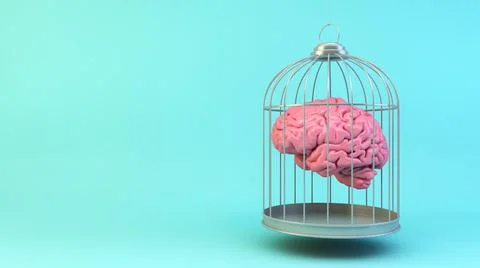 Brain on a cage Stock Illustration