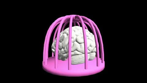 Brain in the cage , seamless loop  rotating animation Stock Footage 297823194