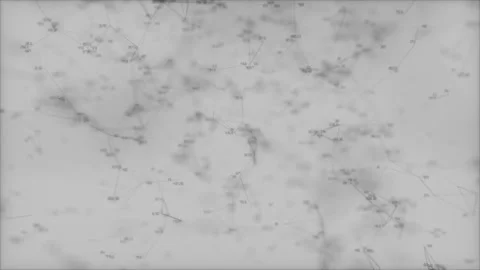 Brain calculations.Computer network and data communication. An abstract Stock Footage 98374909