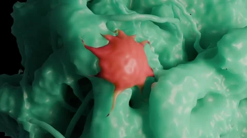 Brain cancer cell 库存影片 305632381