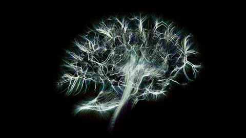 Brain capillary scan. Unveiling brain microvasculature. Stock Footage 277596363