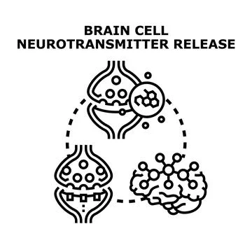 Brain cell neurotransmitter release and synapse communication process Illustrazione stock