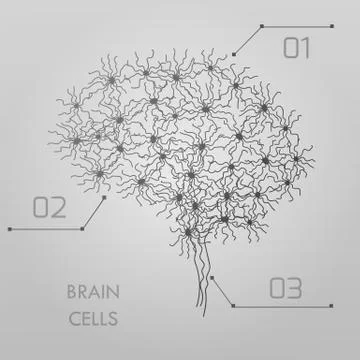 Brain cells connectome Illustrazione stock