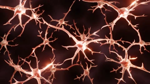 Brain cells firing Stock Footage 156825986