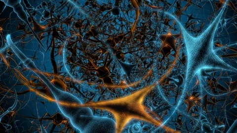Brain cells, or neurons building blocks of the nervous system Stock Footage 114258336