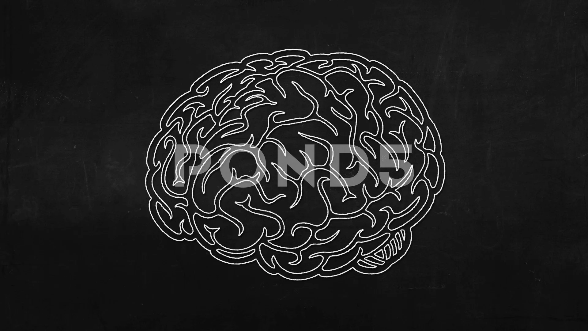 Brain bug chalk