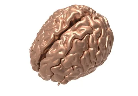 Brain with clipping mask Stock Illustration