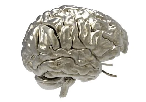 Brain with clipping mask Stock Illustration