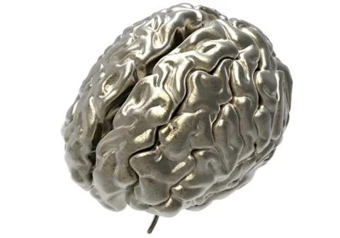 Brain with clipping mask Stock Illustration