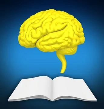 The brain is close-up on book. It symbolizes knowledge of new ideas Stock Illustration
