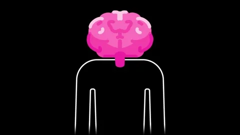 Brain Cognitive Function 스톡 동영상 334343280