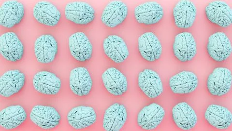 Brain collection Stock Illustration