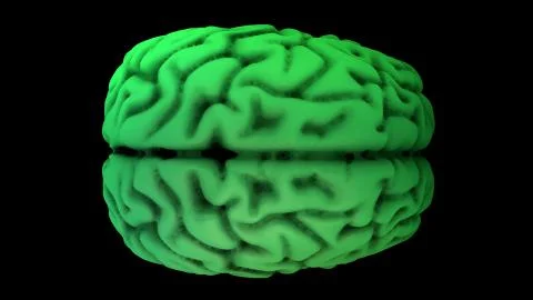 Brain in the color green Stock Illustration