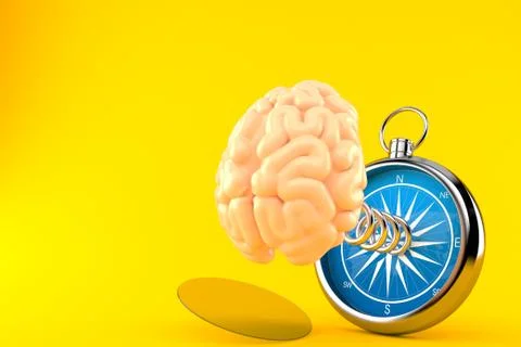 Brain with compass Stock Illustration