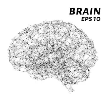 The brain is composed of points, lines and triangles. The polygon shape in .. Stock Illustration