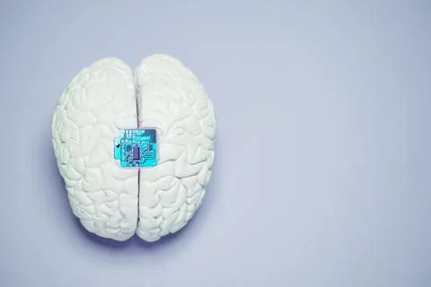 Brain computer interface BCI with chip embedded 库存照片