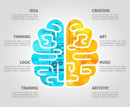 Brain Concept Flat Stock Illustration