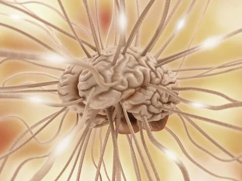 Brain connections Stock Illustration