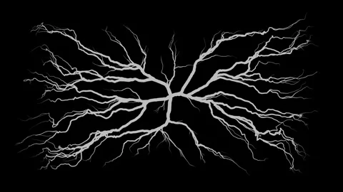 Brain connections. The roots of the tree in our minds. Stock Footage 304488711