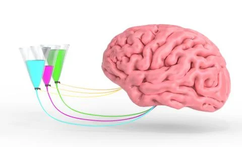 Brain control of human hormones and emotions. 3d illustration Stock Illustration