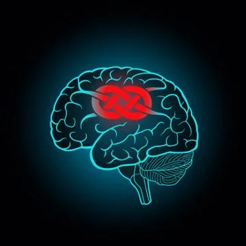 Brain with convolutions associated to the knot Stock Illustration