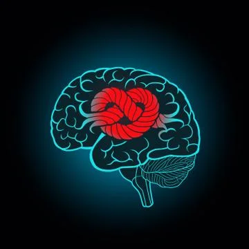 Brain with convolutions associated to the knot 스톡 일러스트