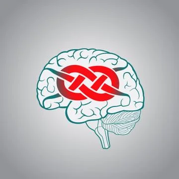 Brain with convolutions associated to the knot Stock Illustration