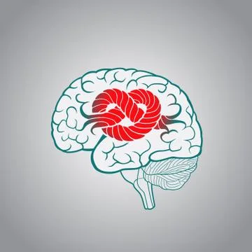 Brain with convolutions associated to the knot Stock Illustration