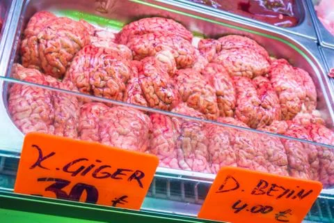 Brain of cow Stockfoto's