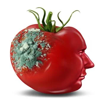 Brain decay Stock Illustration