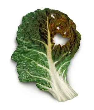 Brain decay Stock Illustration