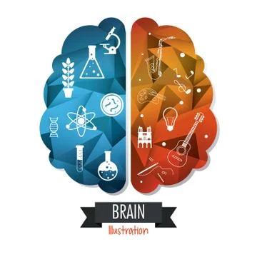 Brain design. Mind concept. White background , editable vector Stockillustratie