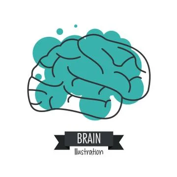Brain design. Mind concept. White background , editable vector Stock Illustration
