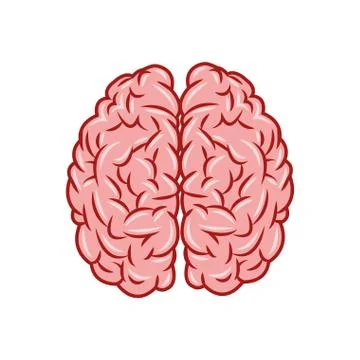 Brain design. organ icon. Flat illustration, vector graphic Stock Illustration