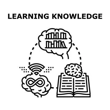 Brain developing new knowledge and online learning skills Ilustração Stock